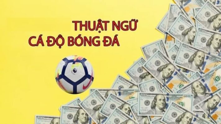 Đôi ba nét về thuật ngữ cá độ bóng đá